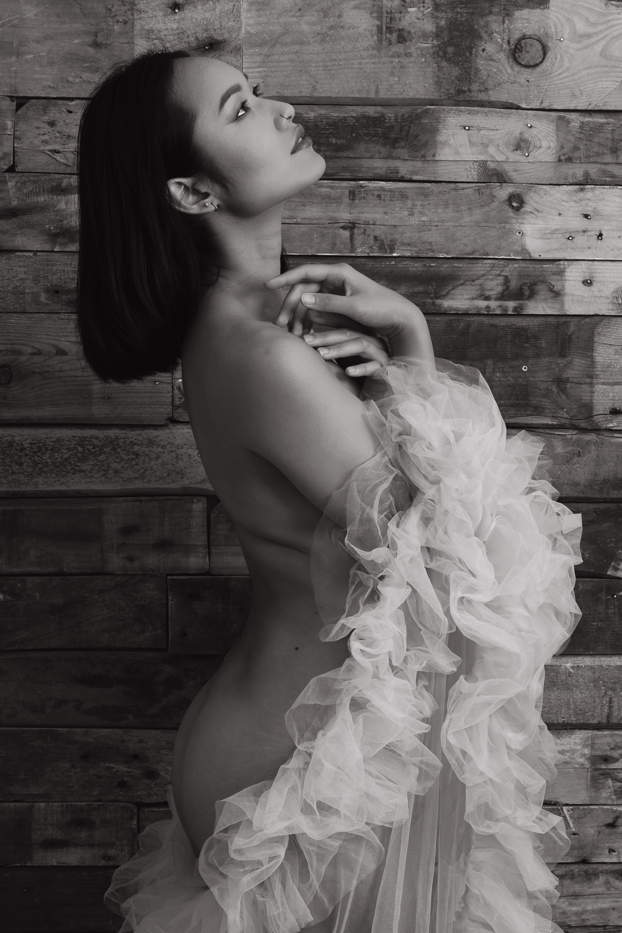 Fine Art 13